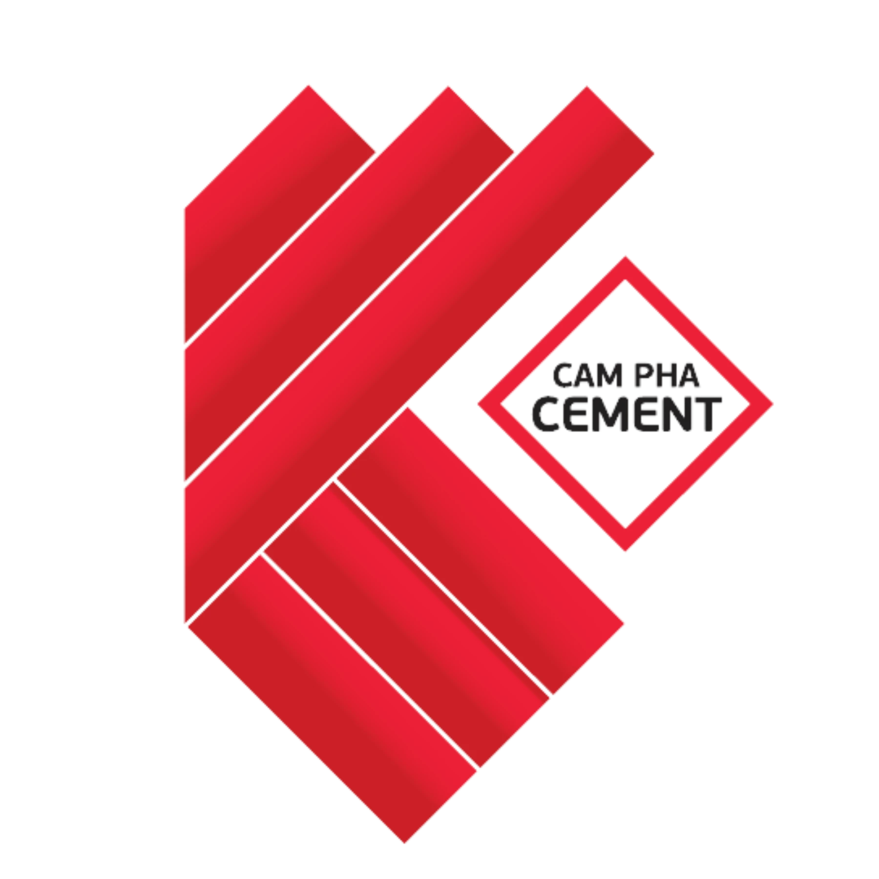 Logo footer